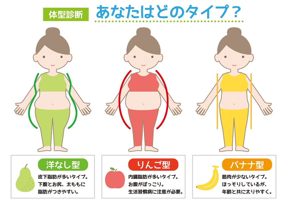 リンゴ型肥満の特徴